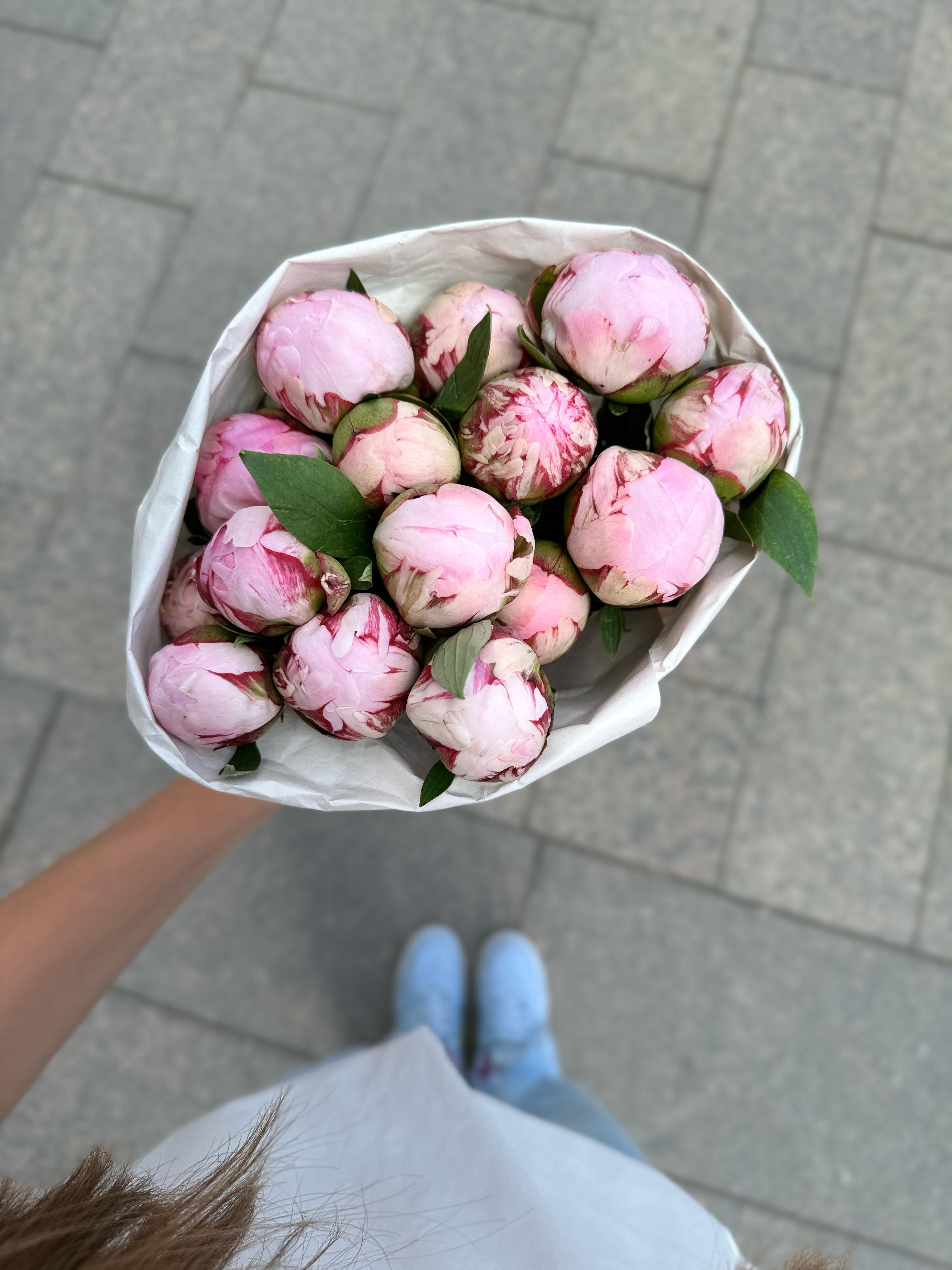 Изображение WhatsApp 2025-05-16 в 14.20.33_7aeeed96